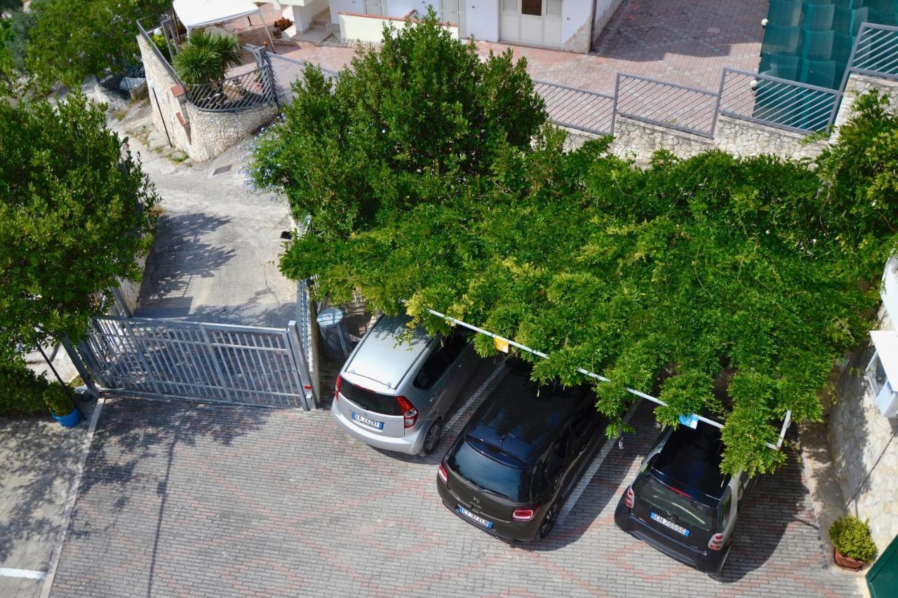 B&B Il Giardino Stellato Vieste Bagian luar foto